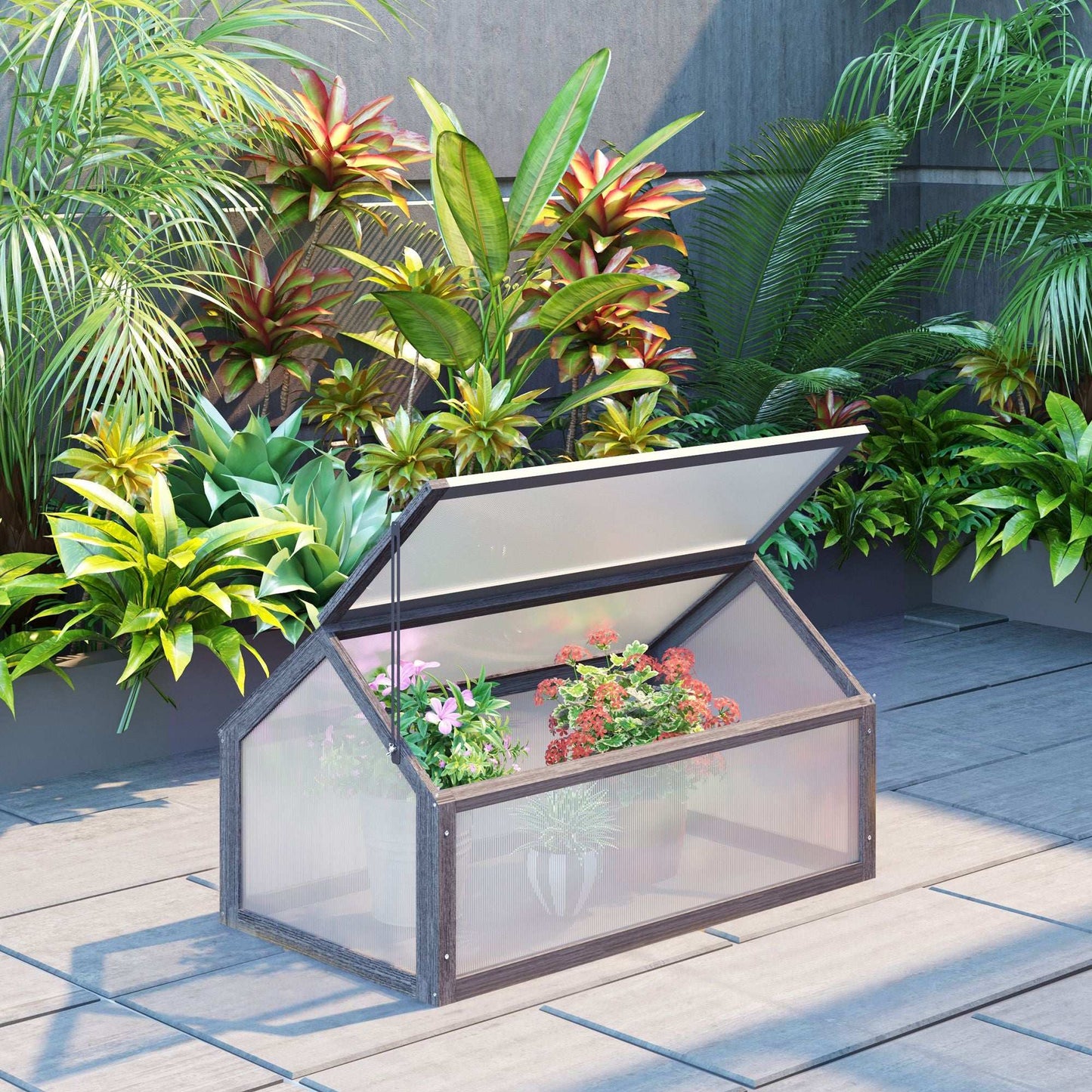 Small glass greenhouse with plants on a patio