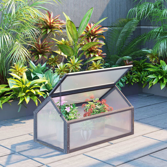 Small glass greenhouse with plants on a patio