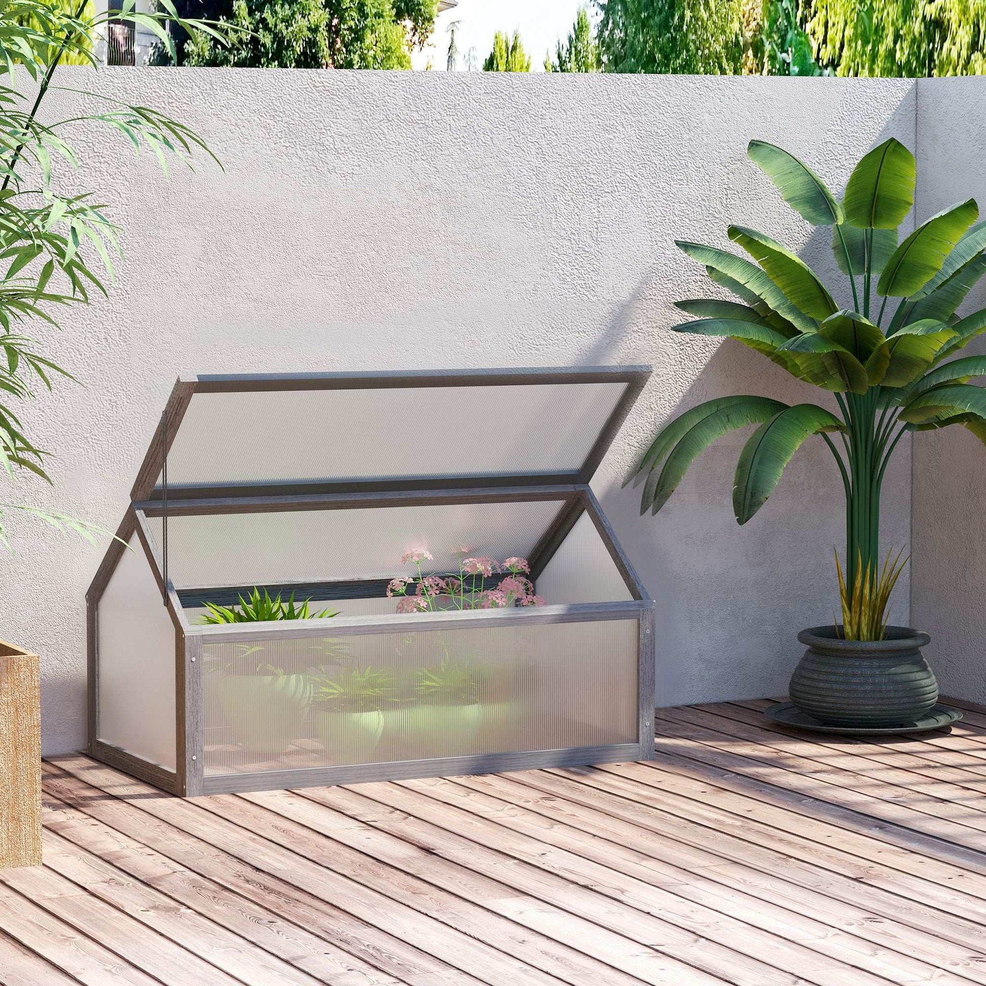 Small greenhouse with plants on a wooden deck against a white wall